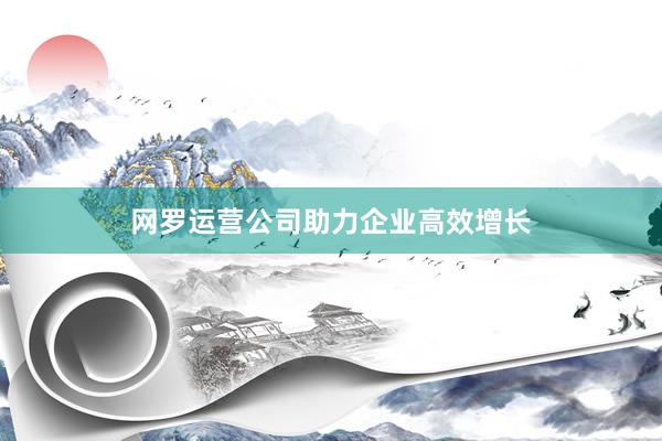 网罗运营公司助力企业高效增长