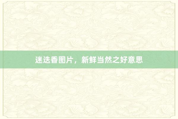 迷迭香图片，新鲜当然之好意思
