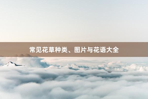 常见花草种类、图片与花语大全