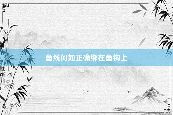 鱼线何如正确绑在鱼钩上